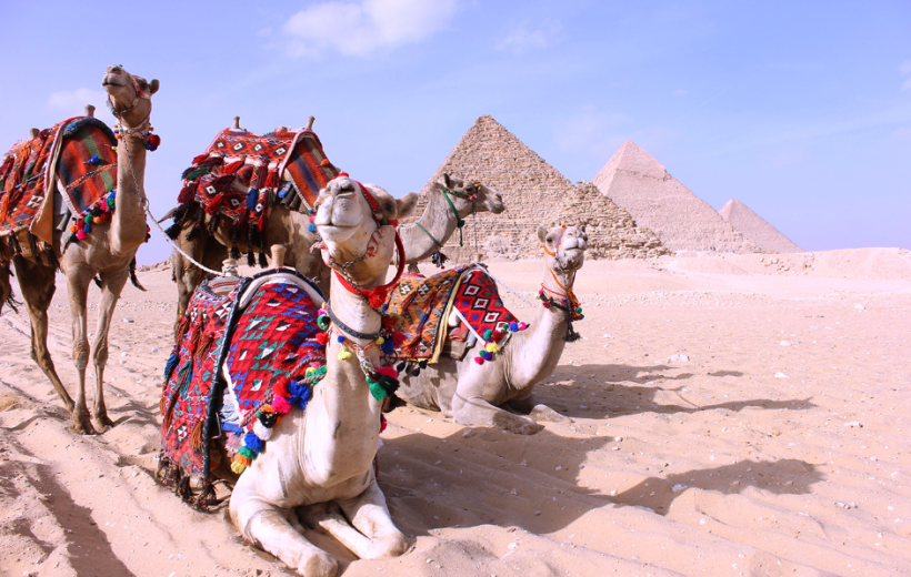 5-Day All-Inclusive Tour